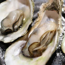 GO Healthy Oyster + Zinc 1-A-Day 120 Vege Capsules