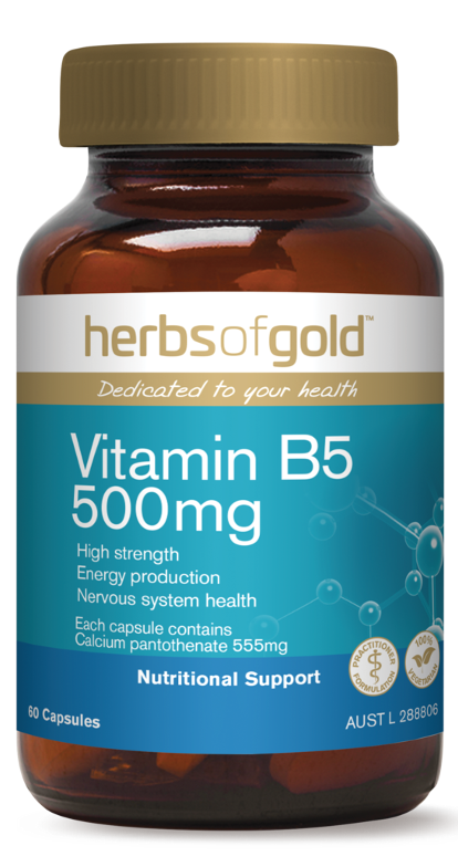 Herbs of Gold Vitamin B5 500mg 60 VC