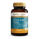 Herbs of Gold Olive Leaf 7500 60 Tablets